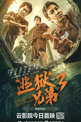 成人在线二区