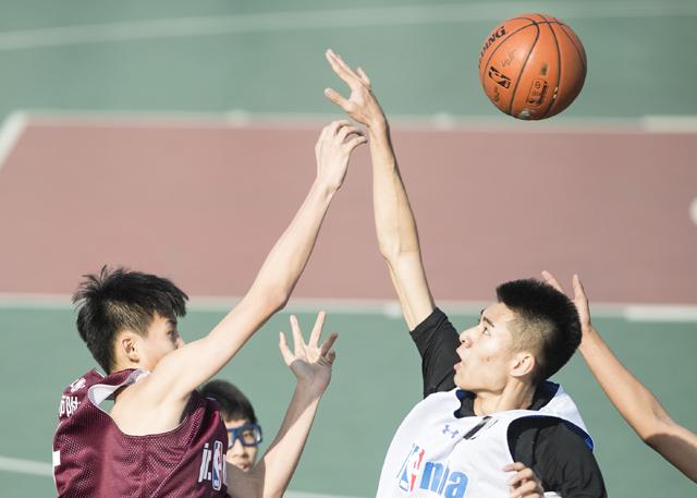 欧美 变态 另类 人妖