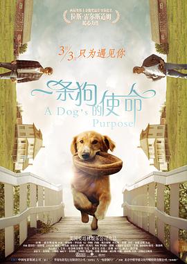 激情综合激情五月