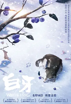 国产一区二区丝袜