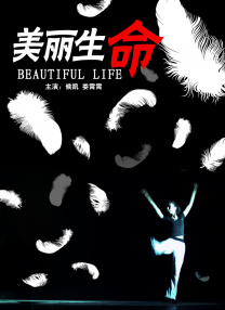 姐夫2