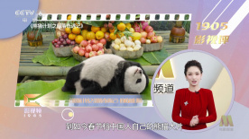 秘密教育2