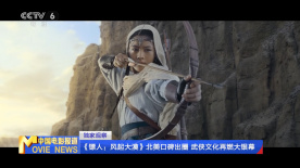 久久99精品久久久久久久野外